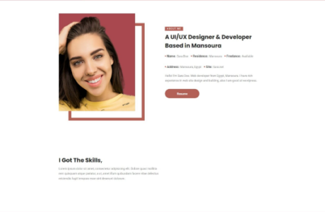 HTML资深创意设计开发师简历网页模板